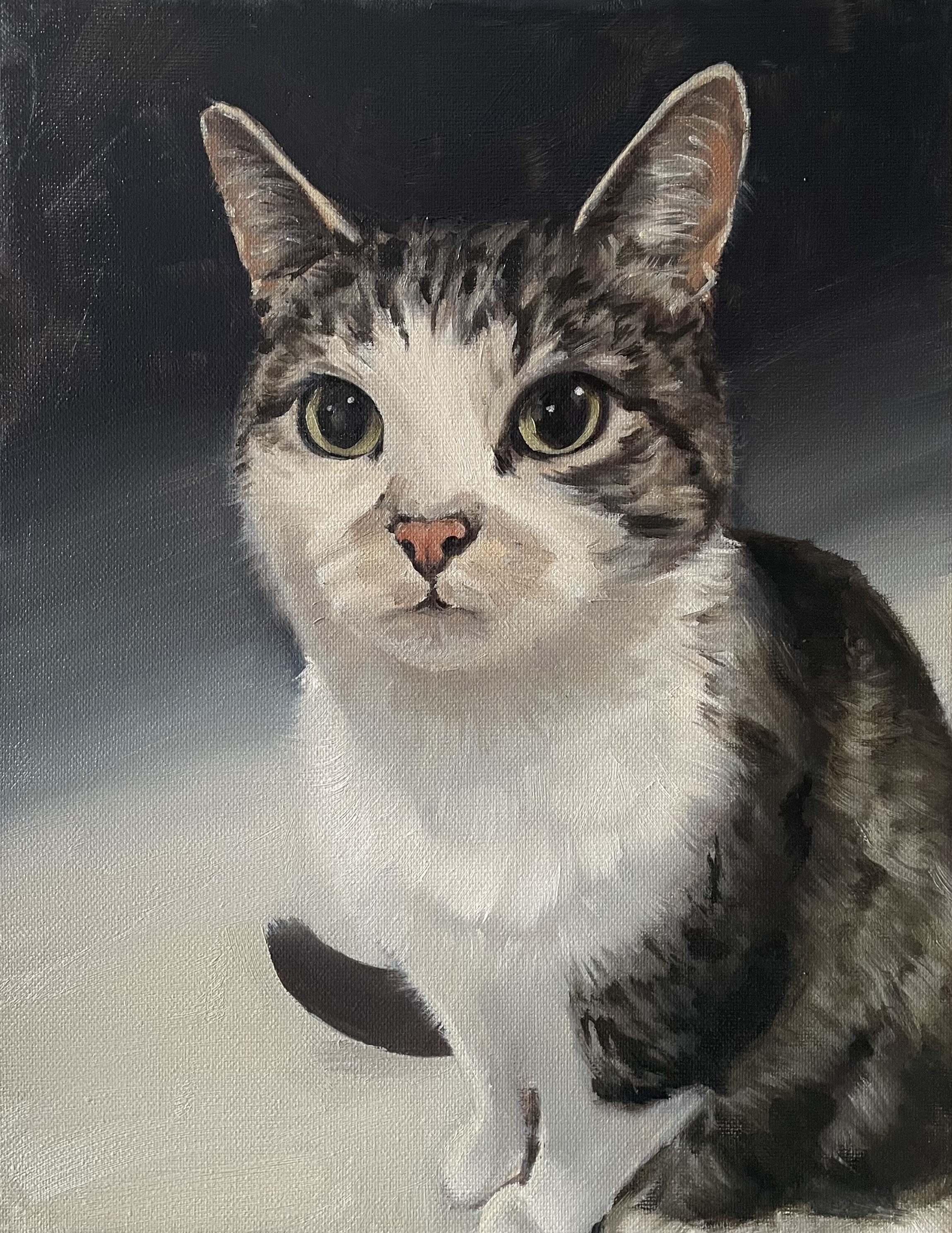 Luciek, oil on canvas